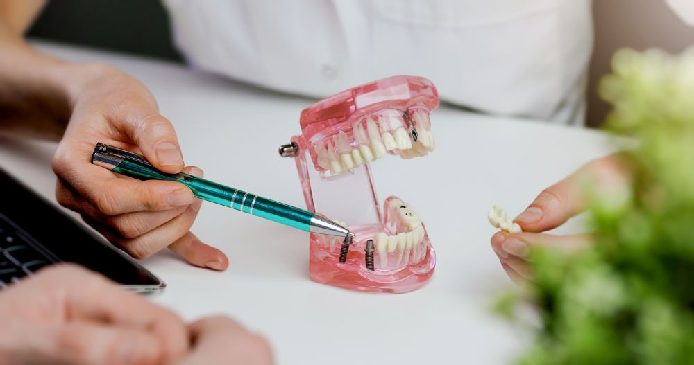 A dentist showing a patient a model of a dental implant in the jaw